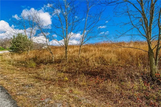 a view of mountain view with lots of trees
