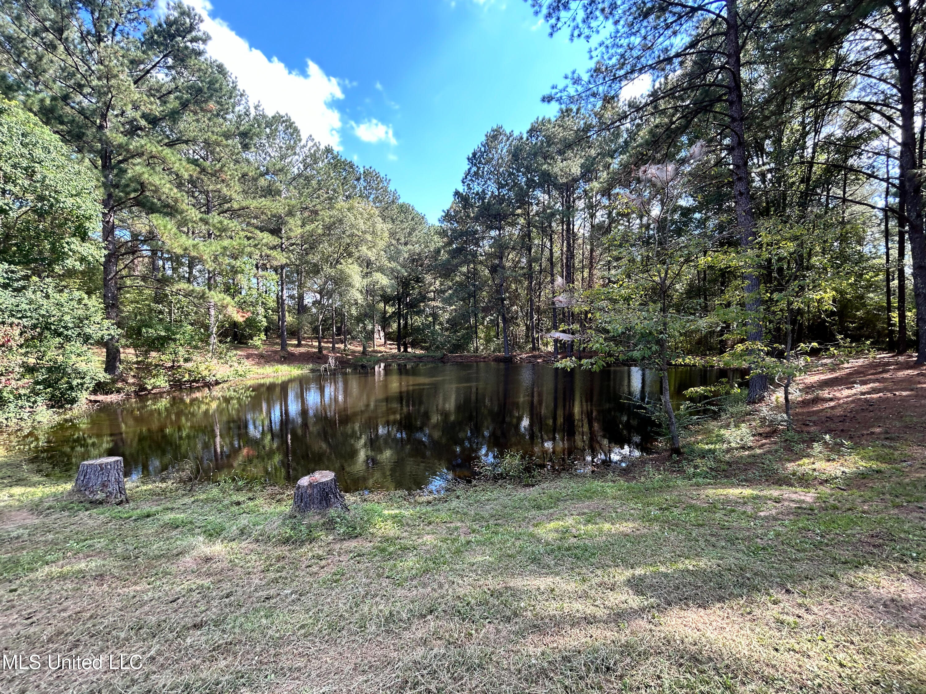 972 Athens Road Mendenhall, MS 39114 - Photo 23 of 62 IMG_9282