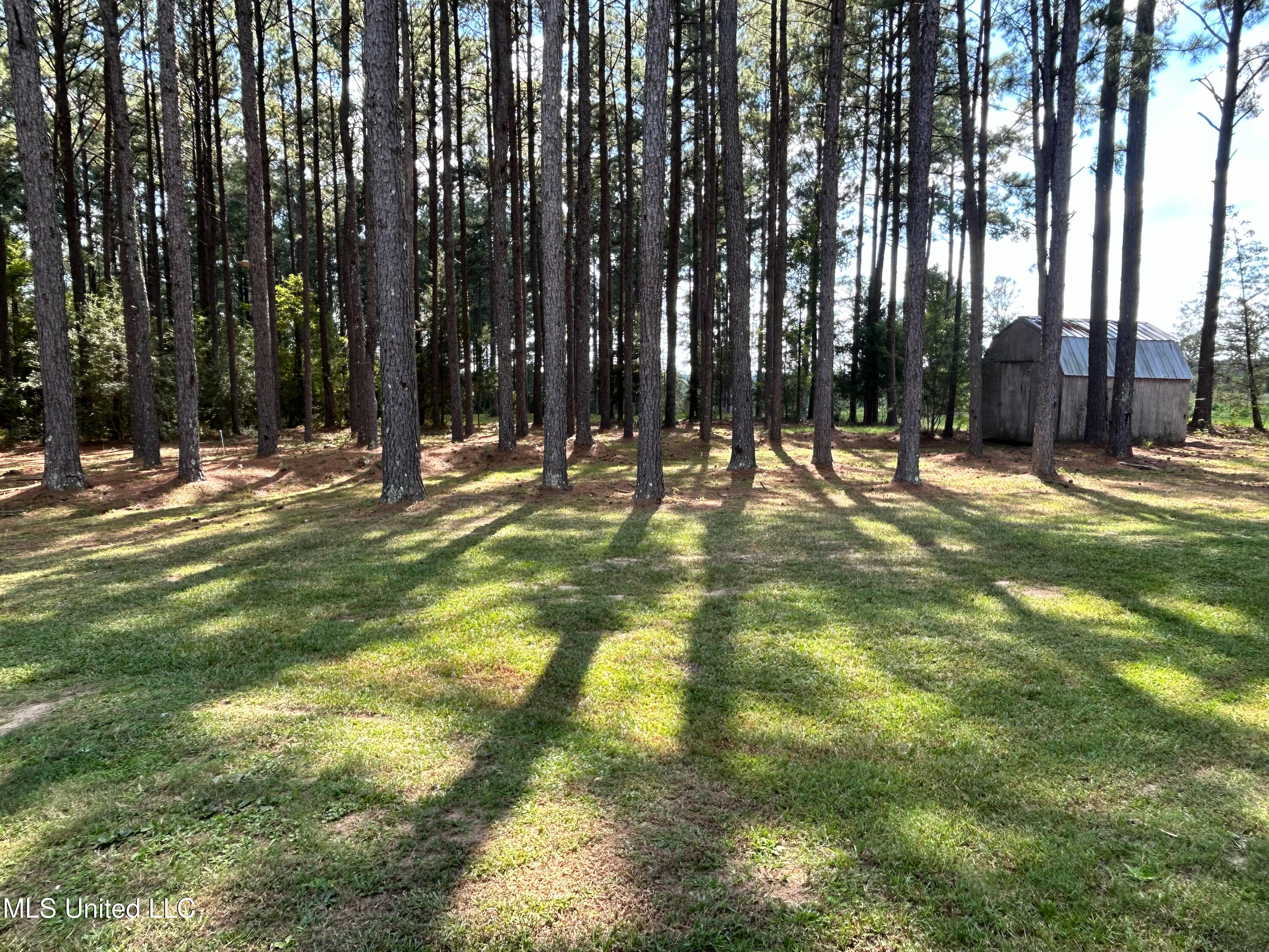 972 Athens Road Mendenhall, MS 39114 - Photo 27 of 62 IMG_9298