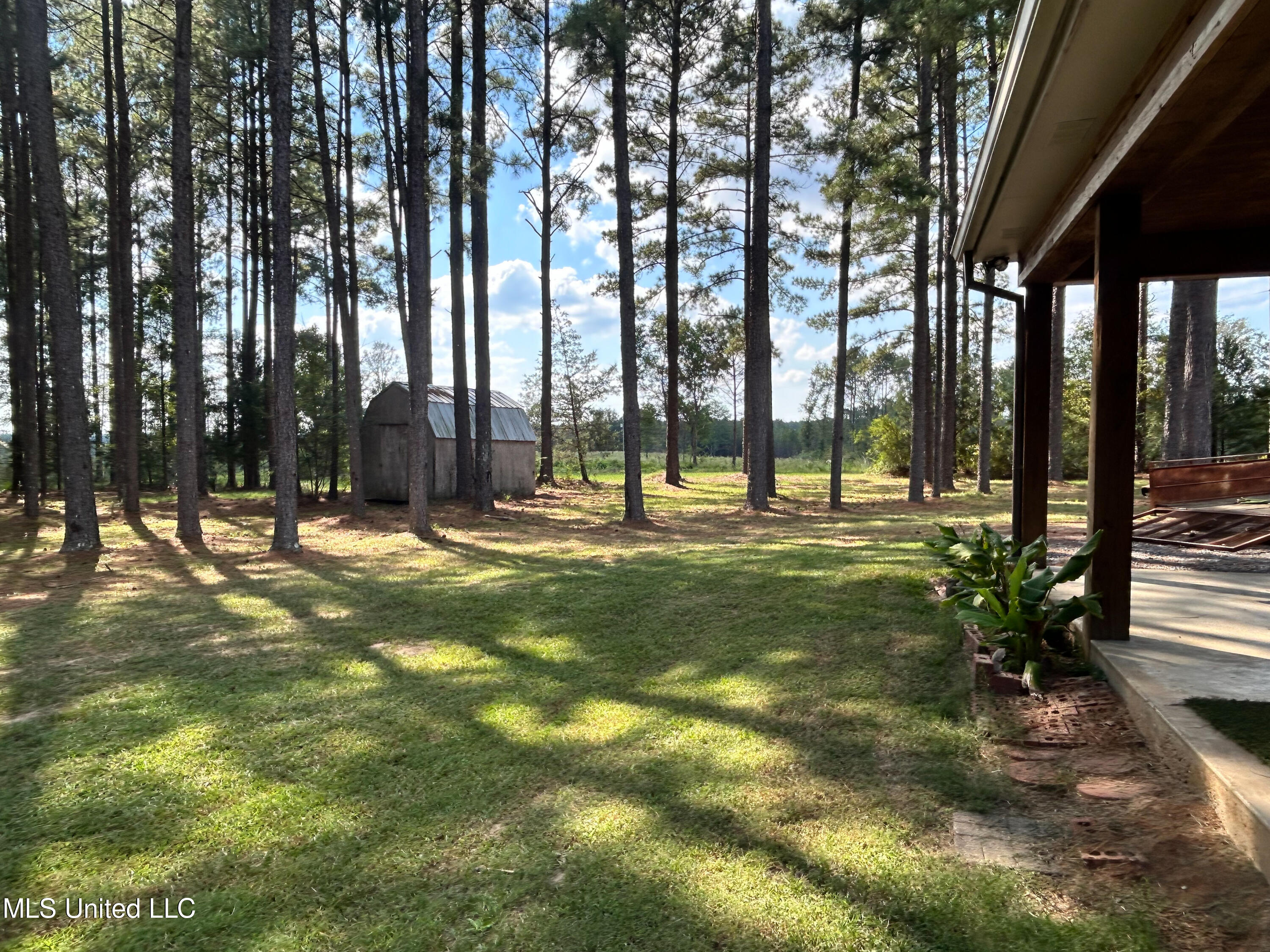 972 Athens Road Mendenhall, MS 39114 - Photo 28 of 62 IMG_9299