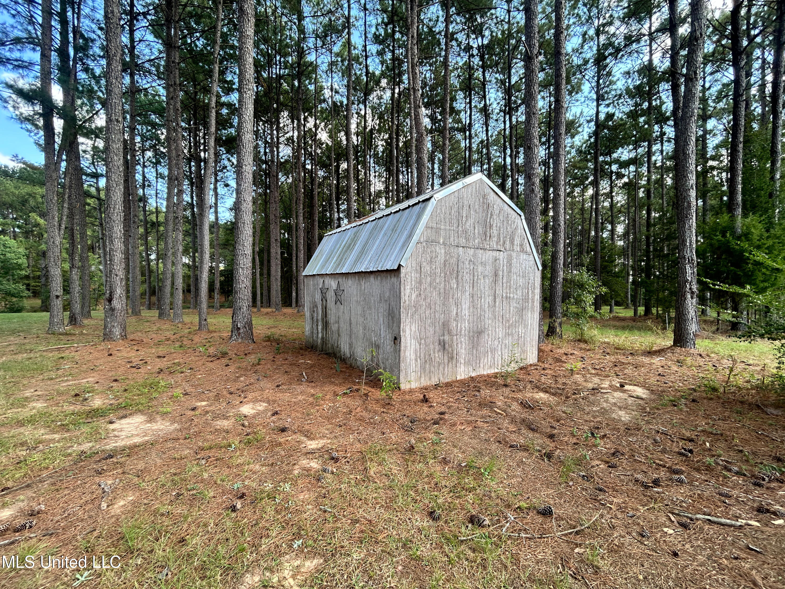 972 Athens Road Mendenhall, MS 39114 - Photo 29 of 62 IMG_9294