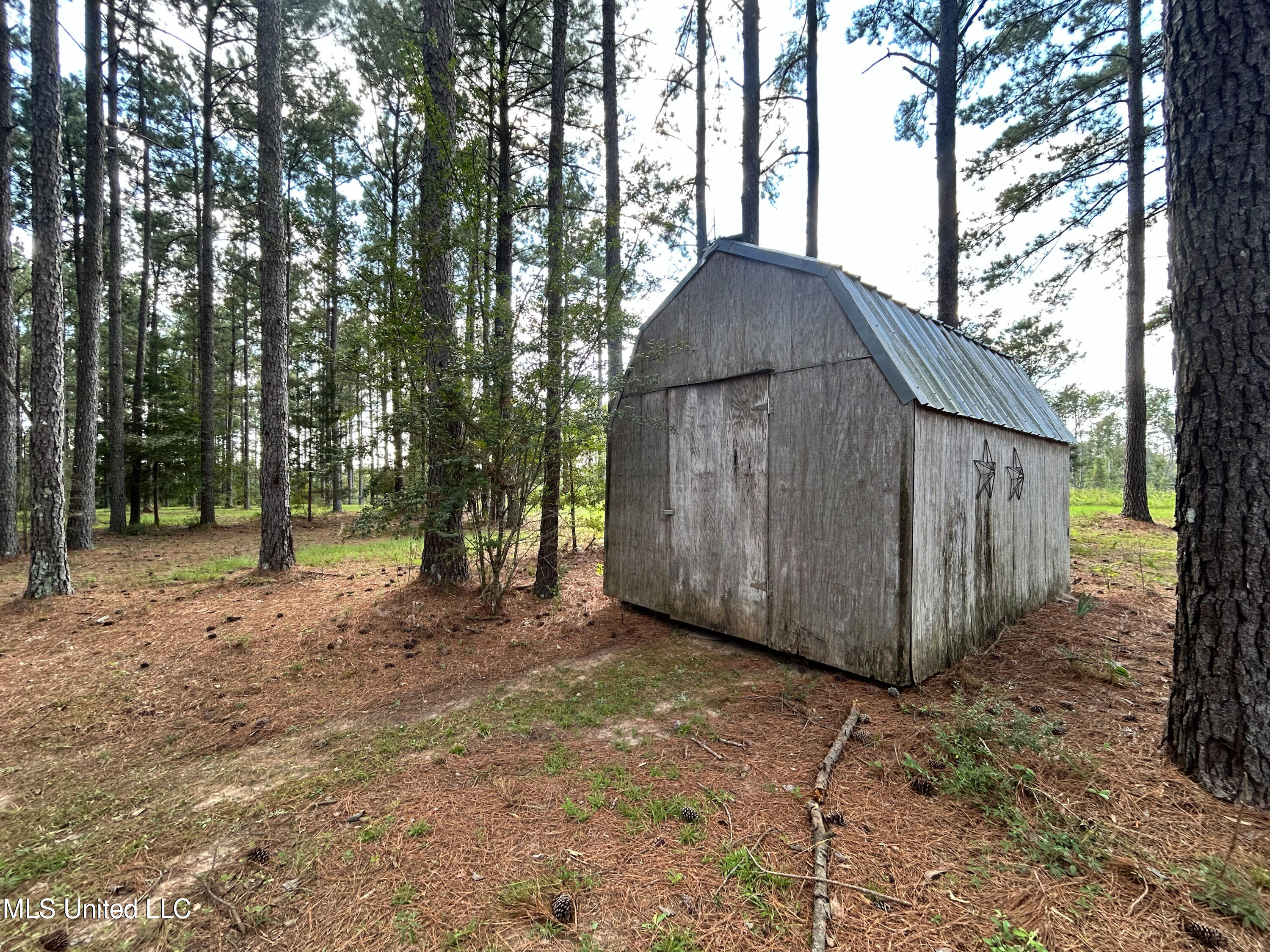 972 Athens Road Mendenhall, MS 39114 - Photo 30 of 62 IMG_9295