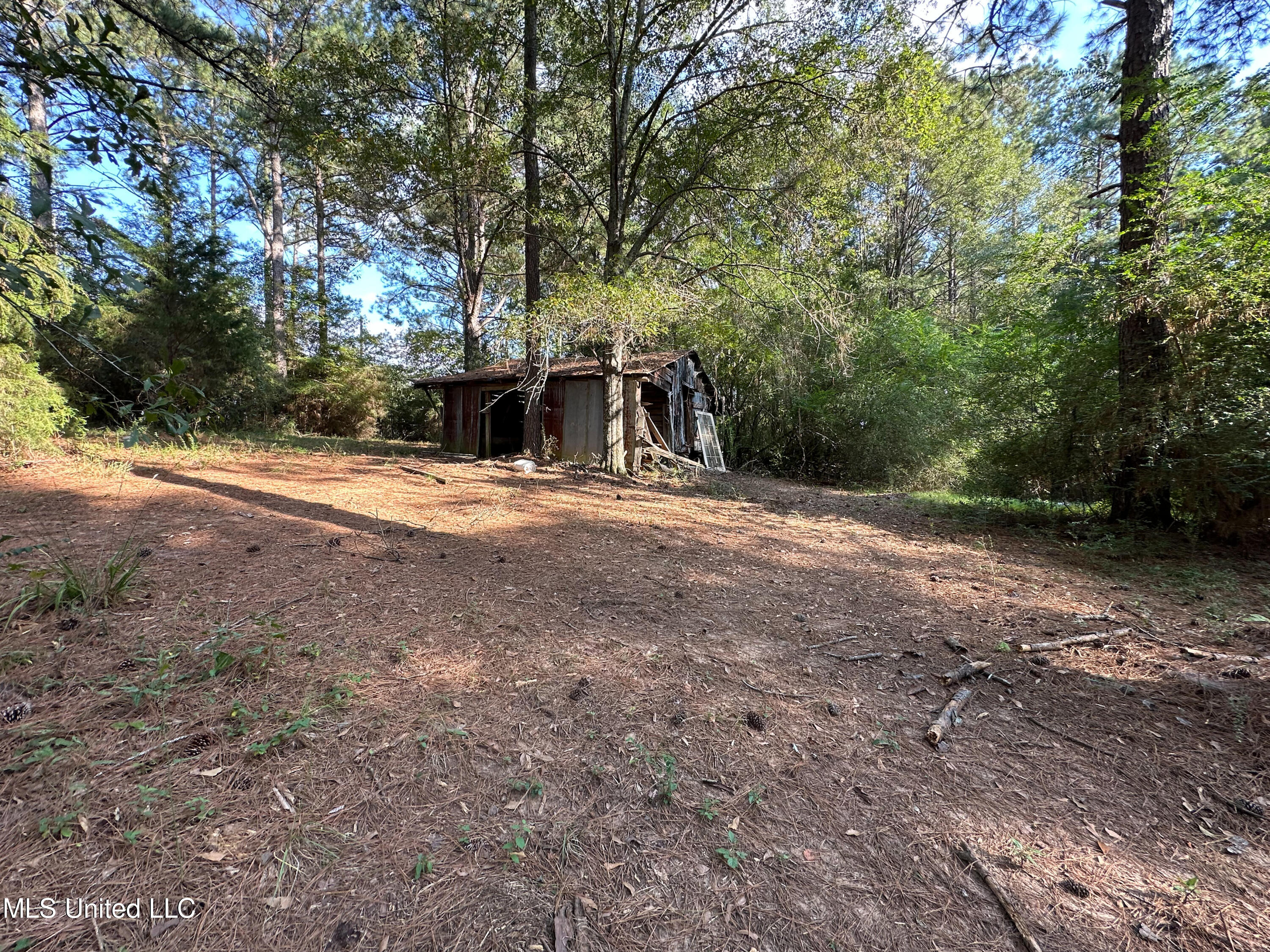 972 Athens Road Mendenhall, MS 39114 - Photo 33 of 62 IMG_0830