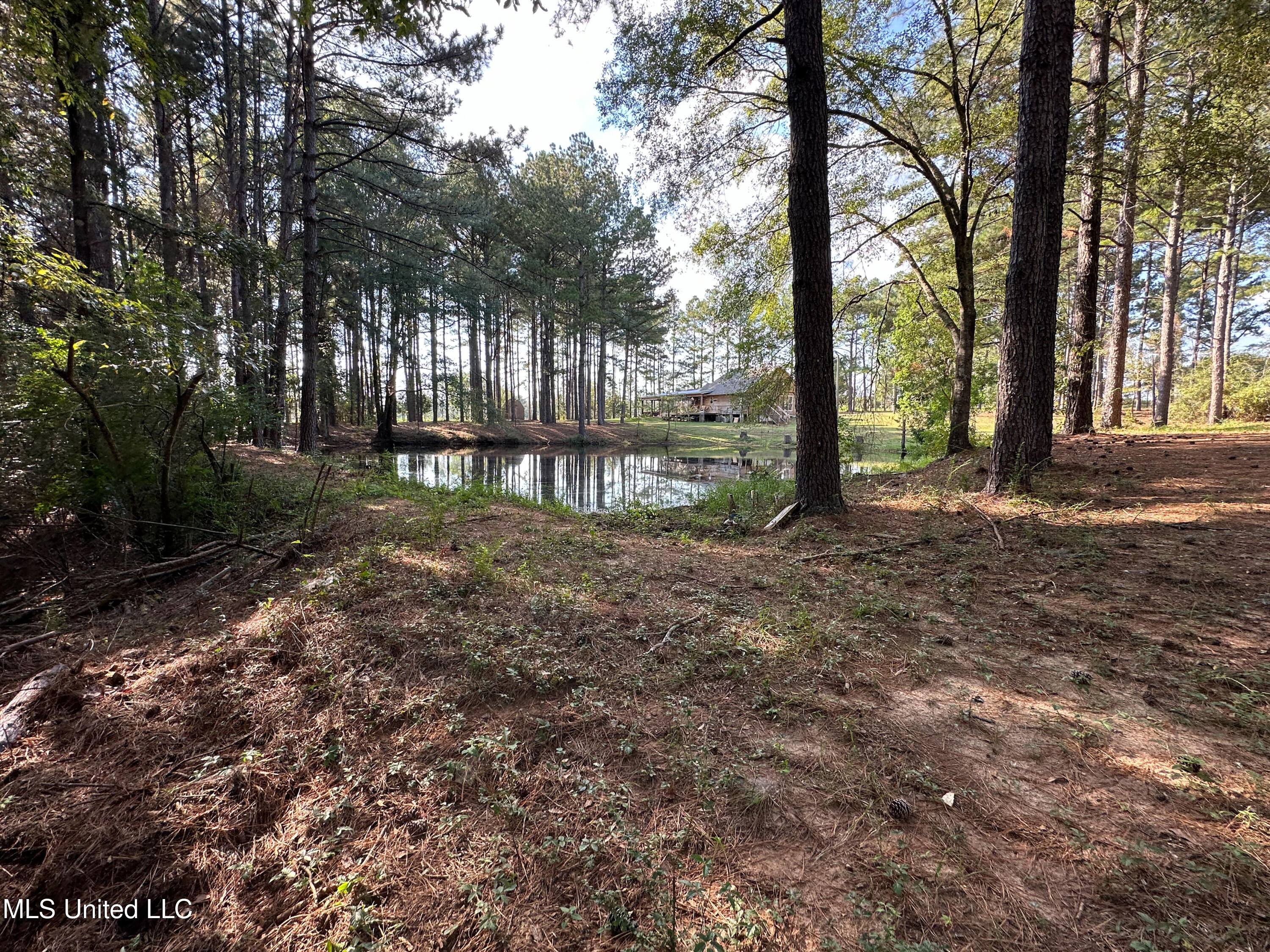 972 Athens Road Mendenhall, MS 39114 - Photo 34 of 62 IMG_0829