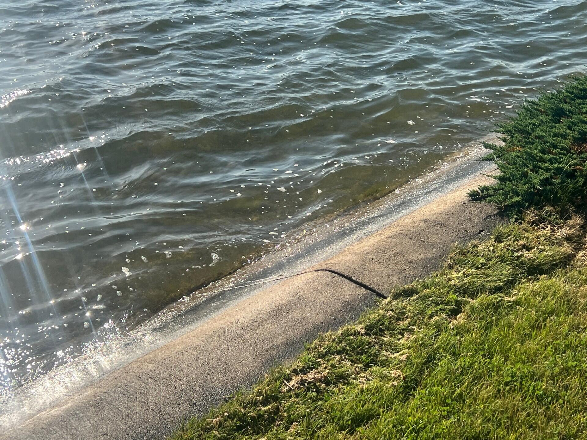 Wildwood Road Quincy, MI 49082 - Photo 14 of 16 thumbnail_IMG_9154