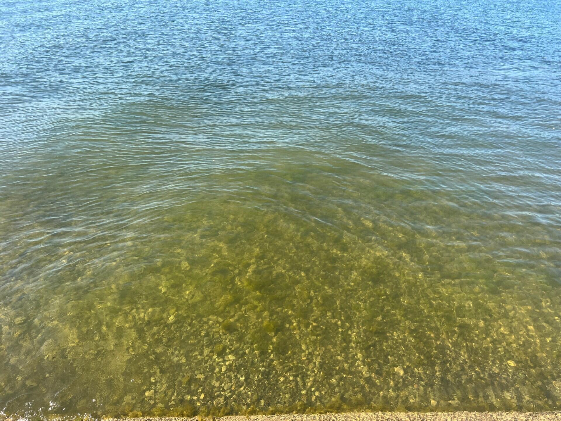 Wildwood Road Quincy, MI 49082 - Photo 10 of 16 thumbnail_IMG_9137