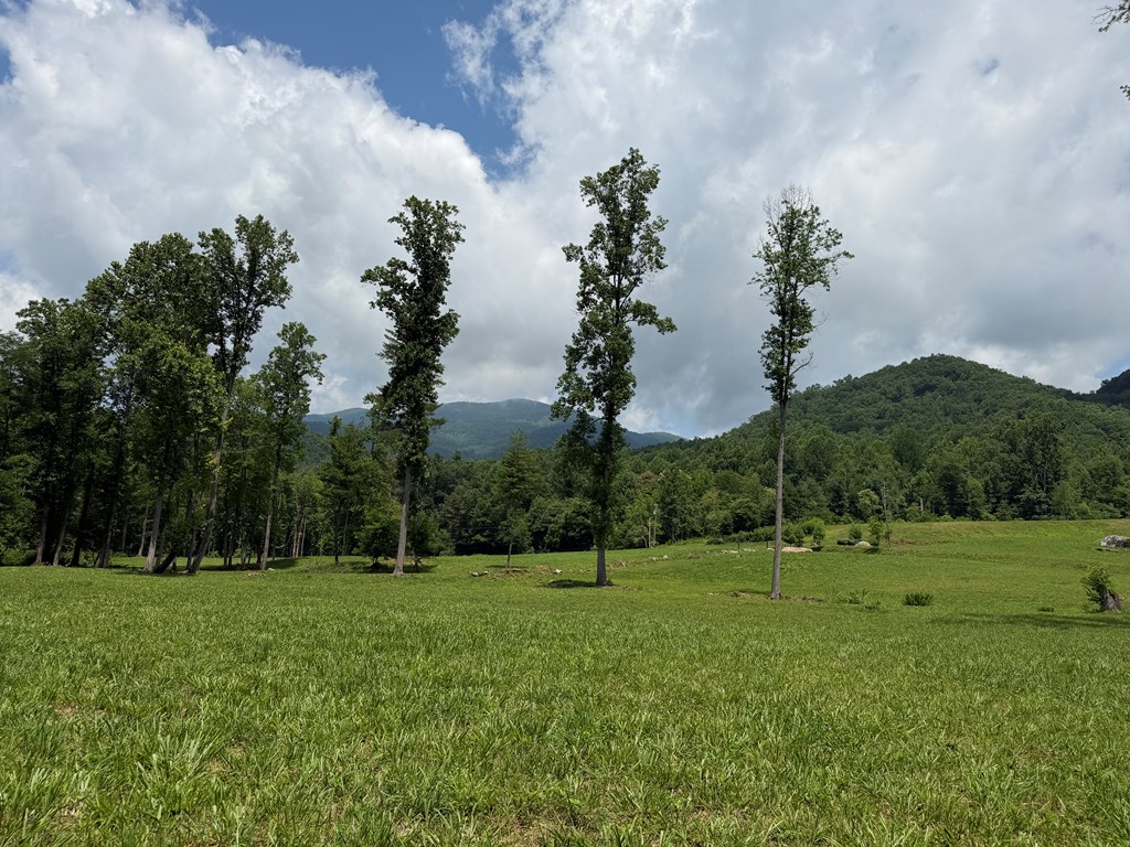 1446 Muskrat Creek Road Hayesville, NC 28904 - Photo 20 of 108