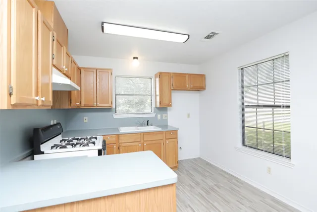 a view of a kitchen with a sink and dishwasher cabinet with wooden floor