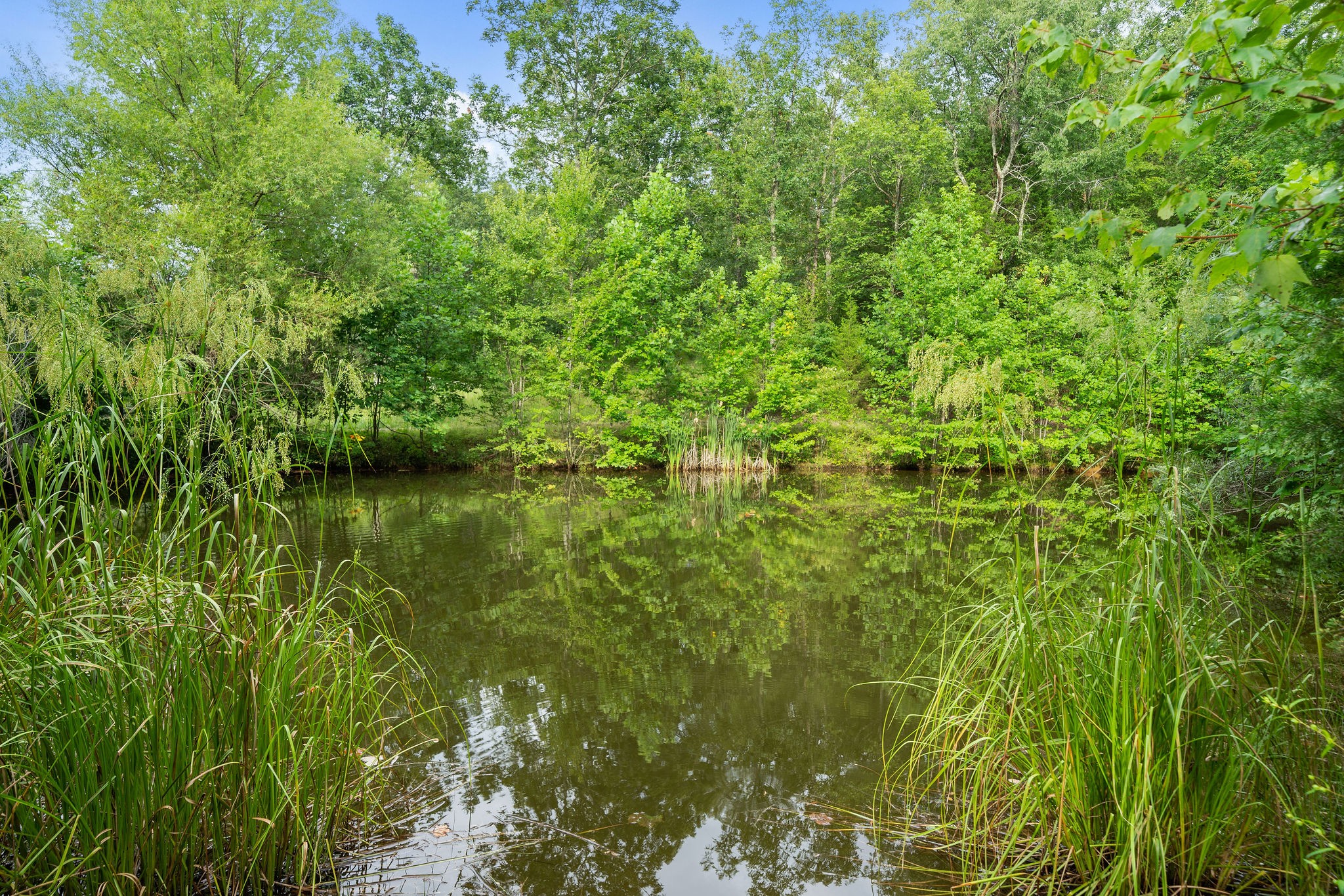 1682 Judy Branch Road McEwen, TN 37101 - Photo 42 of 42 Gallery Image 42