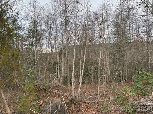 a view of room with trees