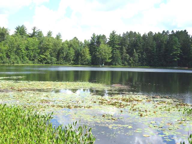 5170 Wilmar Lane Rhinelander, WI 54501 - Photo 11 of 13 Gallery Image 11