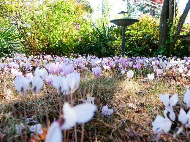 $599,900 | 1801 Southeast 176th Avenue, Portland, OR 97233