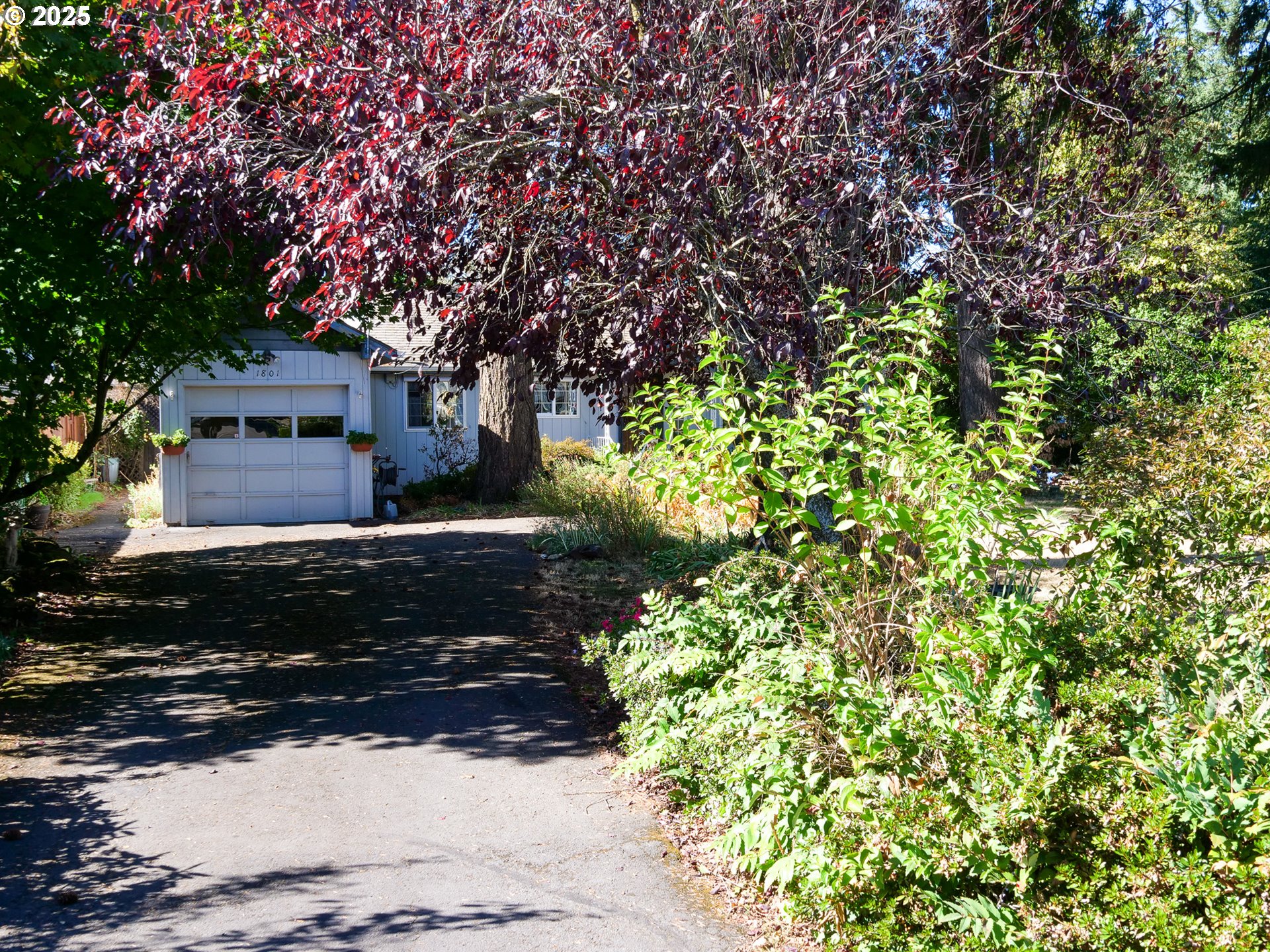1801 Southeast 176th Avenue Portland, OR 97233 - Photo 37 of 39