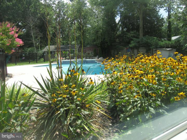 535 Pelham Road Cherry Hill, NJ 08034 - Photo 22 of 24 Pool