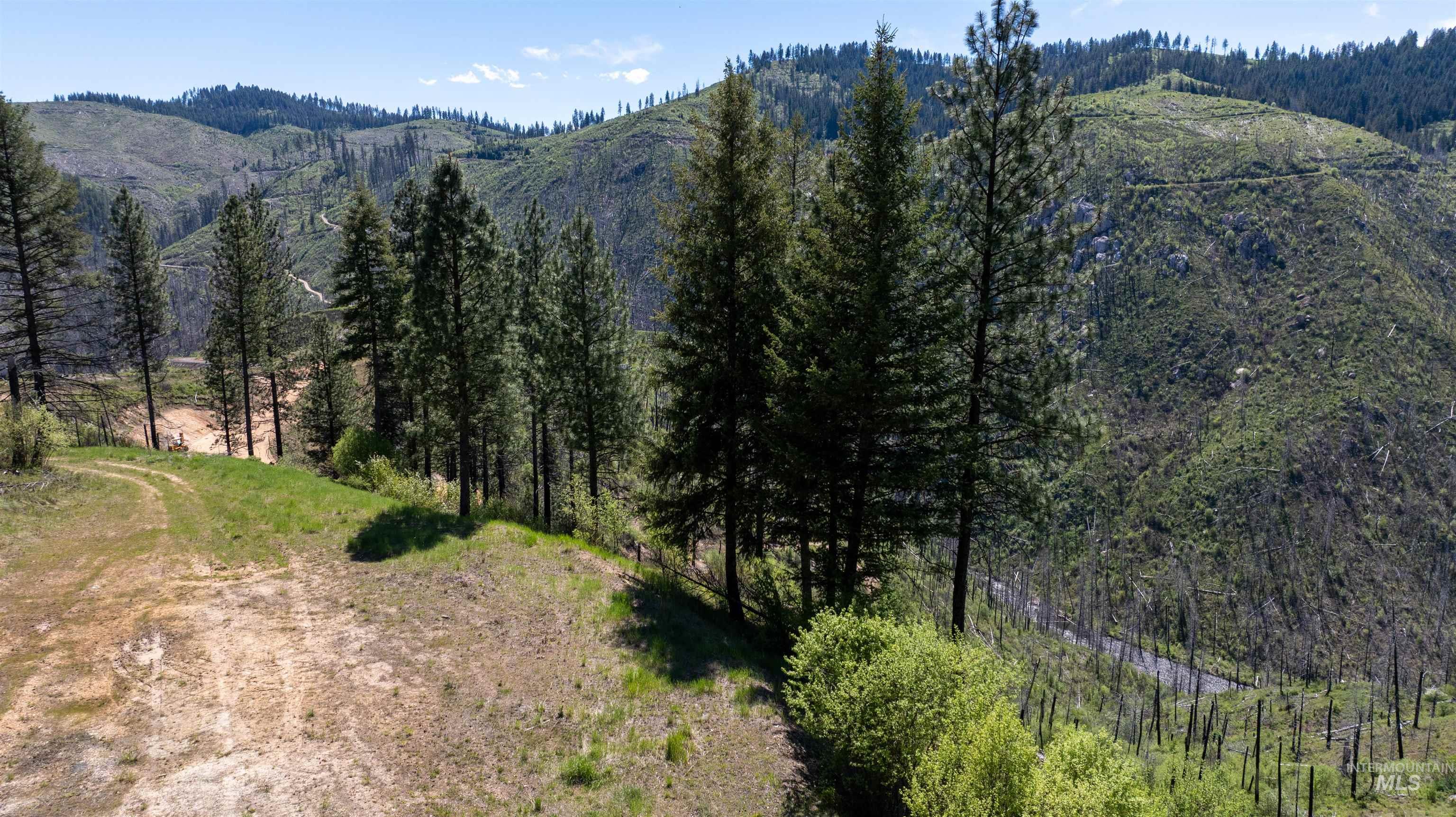 2912 Lolo Creek Road Weippe, ID 83553 - Photo 7 of 18