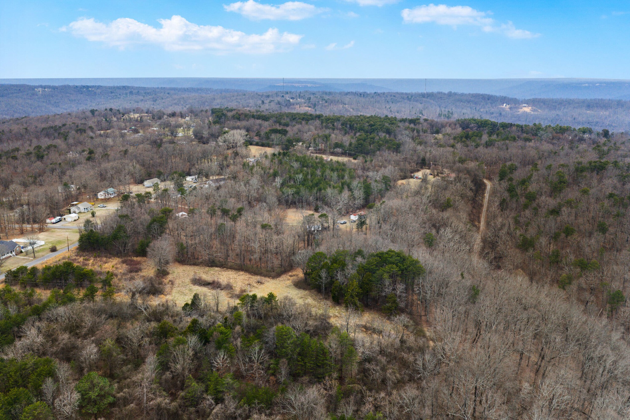 1475 Patton School Road South Pittsburg, TN 37380 - Photo 14 of 22 a view of a city with lush green forest