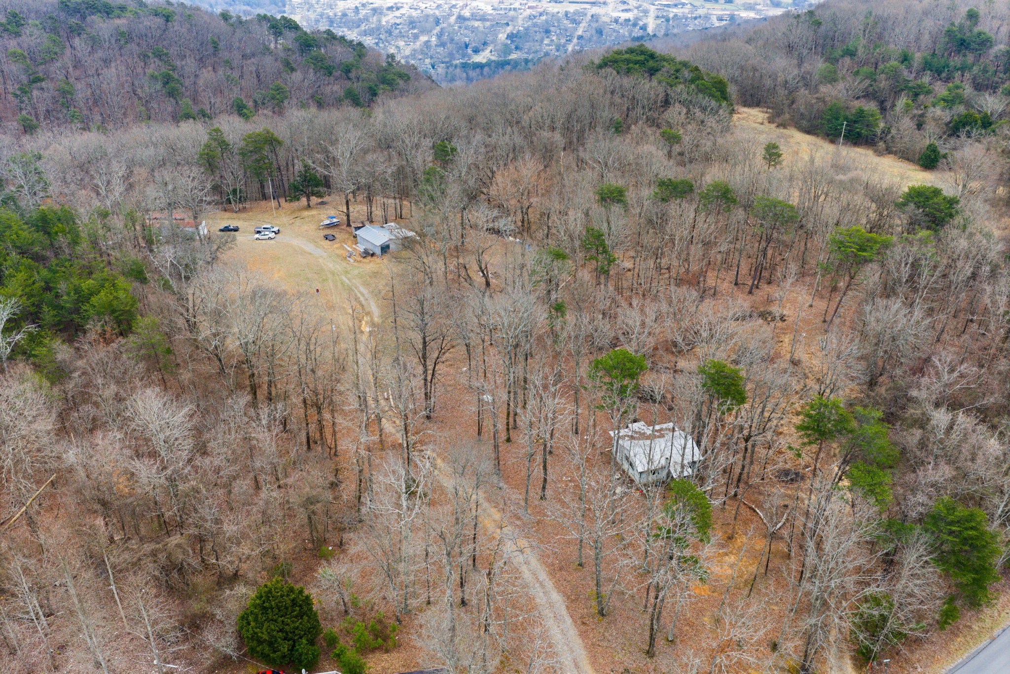 1475 Patton School Road South Pittsburg, TN 37380 - Photo 19 of 22 a view of a dry yard with trees