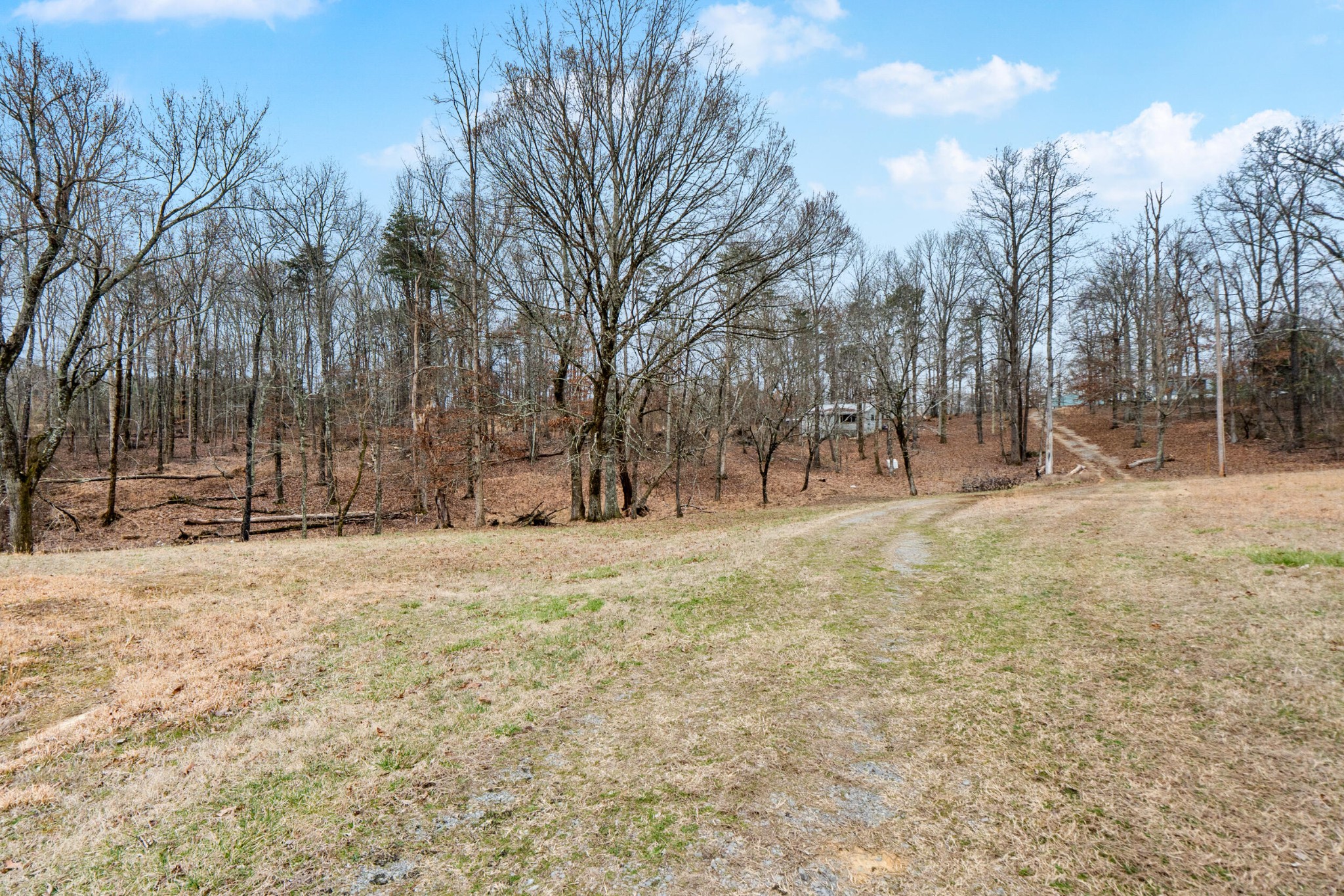 1475 Patton School Road South Pittsburg, TN 37380 - Photo 2 of 22 a view of outdoor space with trees