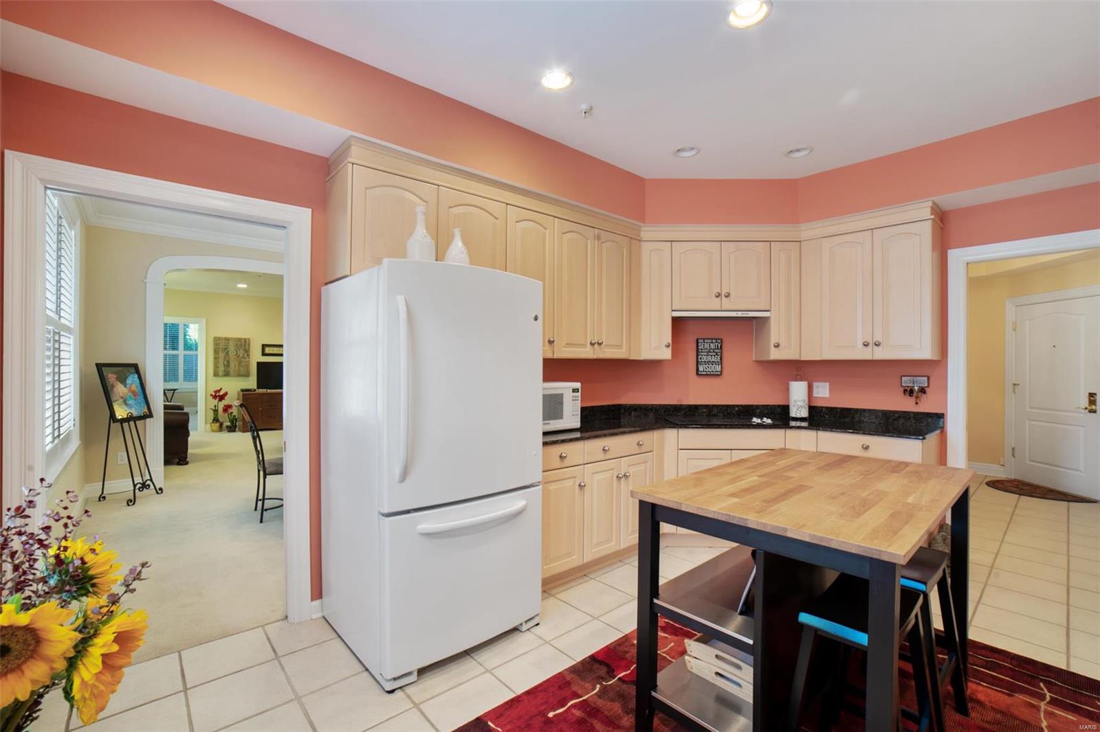 750 South Hanley Road, Unit 160 St. Louis, MO 63105 - Photo 7 of 19 Gallery Image 7