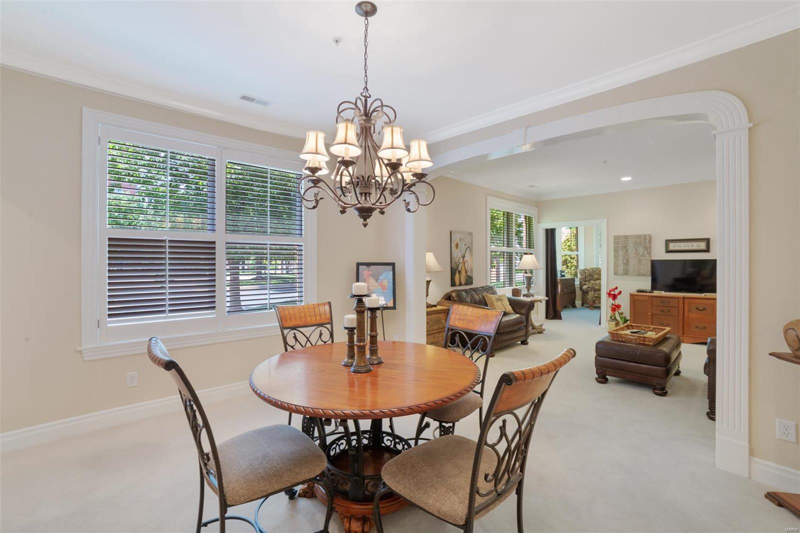 750 South Hanley Road, Unit 160 St. Louis, MO 63105 - Photo 9 of 19 Gallery Image 9