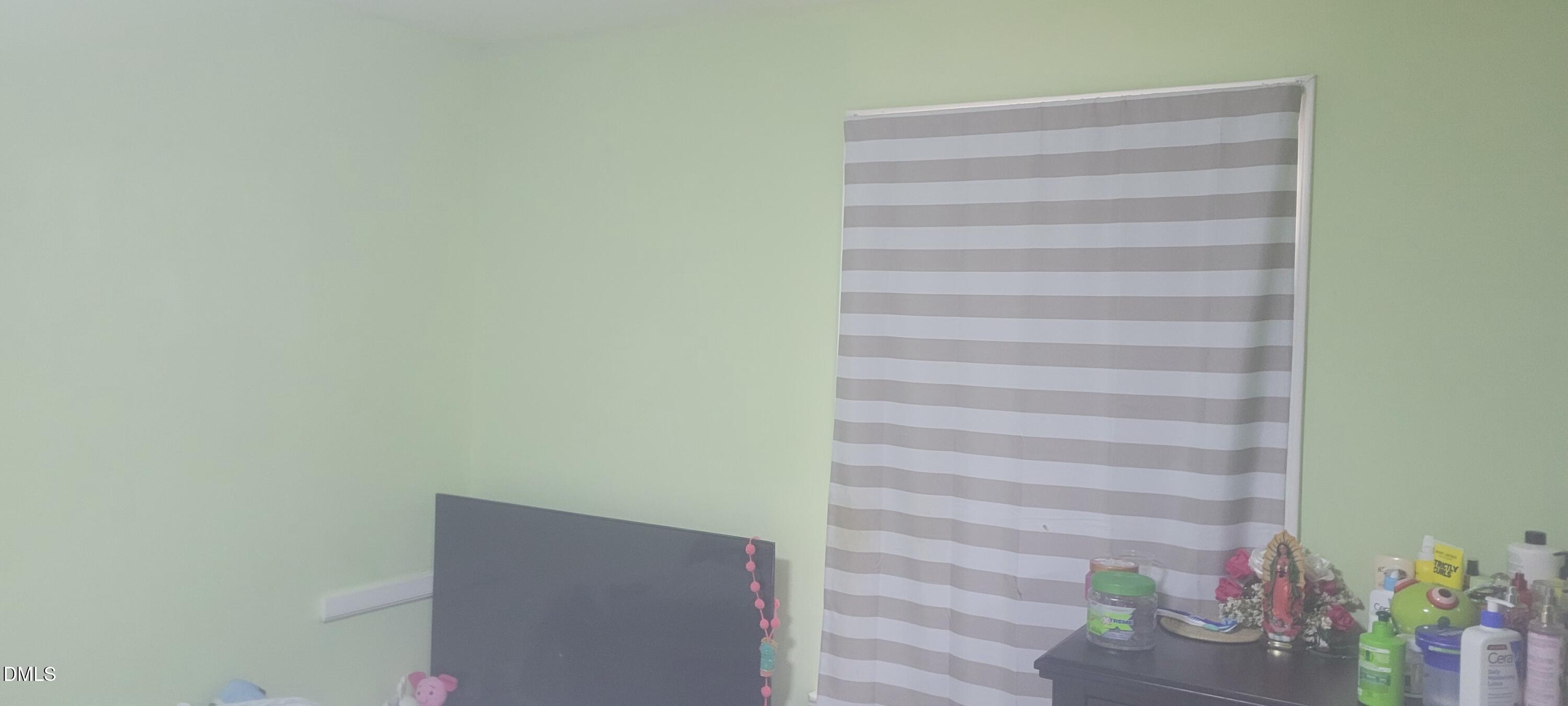 217 Heck Street Raleigh, NC 27601 - Photo 13 of 22 a view of room with a potted plant