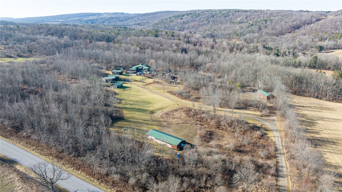 9470 Schmidt Road West Sparta, NY 14437 - Photo 35 of 43