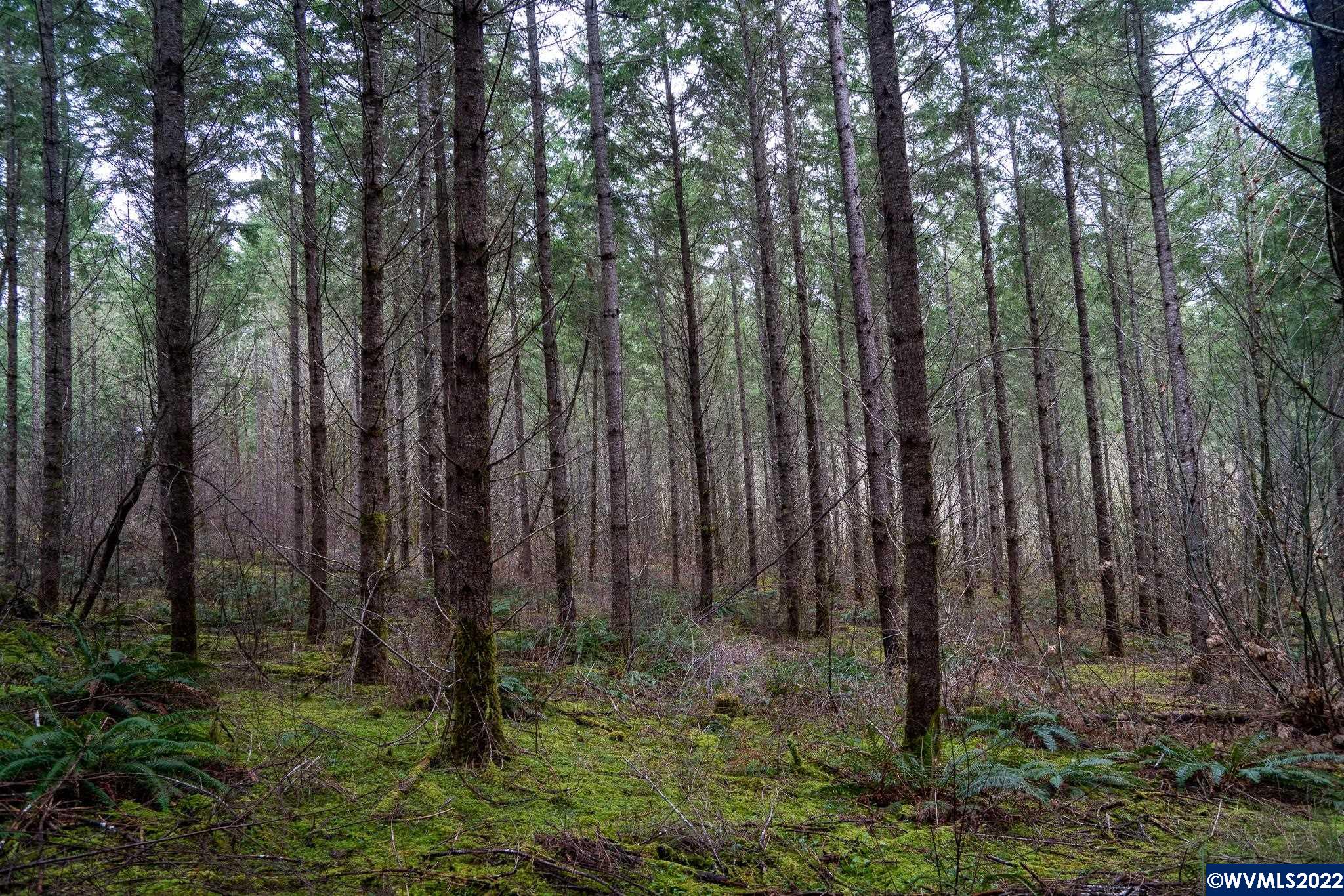 Na Green Peak Road Monroe, OR 97456 - Photo 9 of 26 Gallery Image 9
