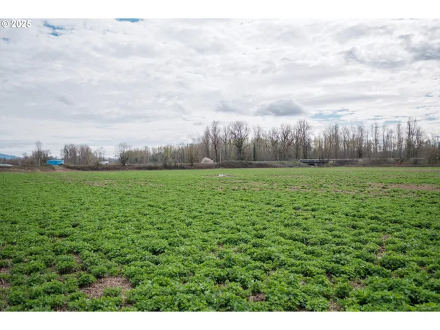 $1,600,000 | 215 South 1st Avenue, Stayton, OR 97383