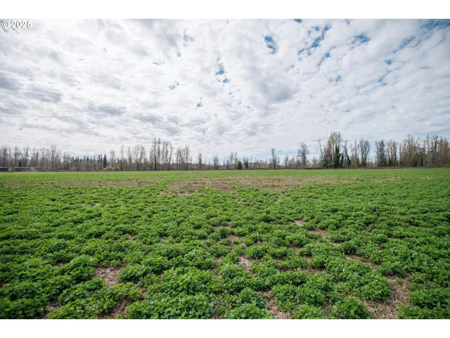 $1,600,000 | 215 South 1st Avenue, Stayton, OR 97383