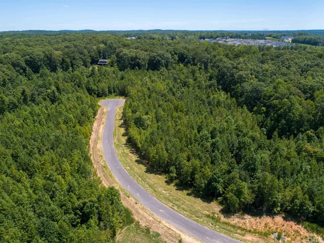 a view of a city with lush green forest