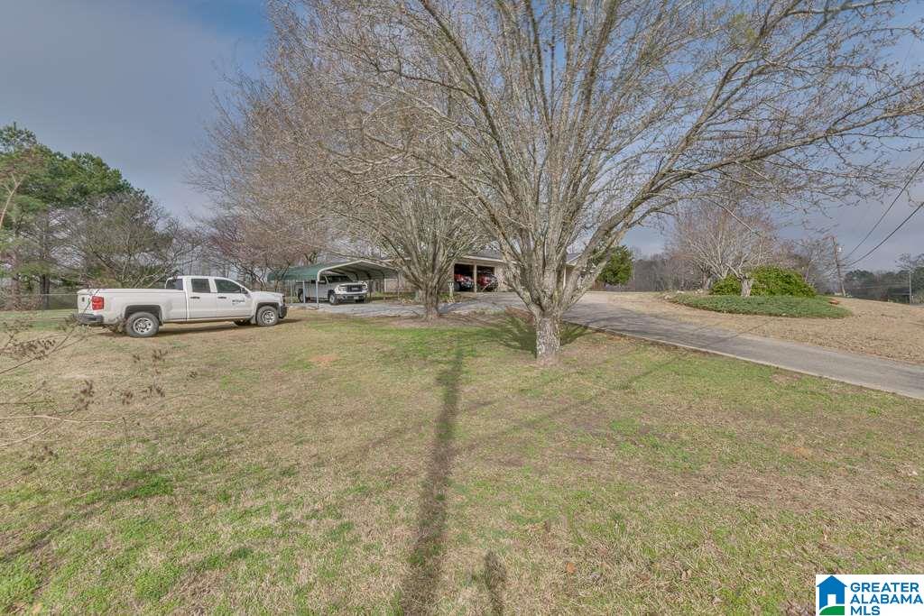 250 County Road 764 Clanton, AL 35046 - Photo 4 of 50