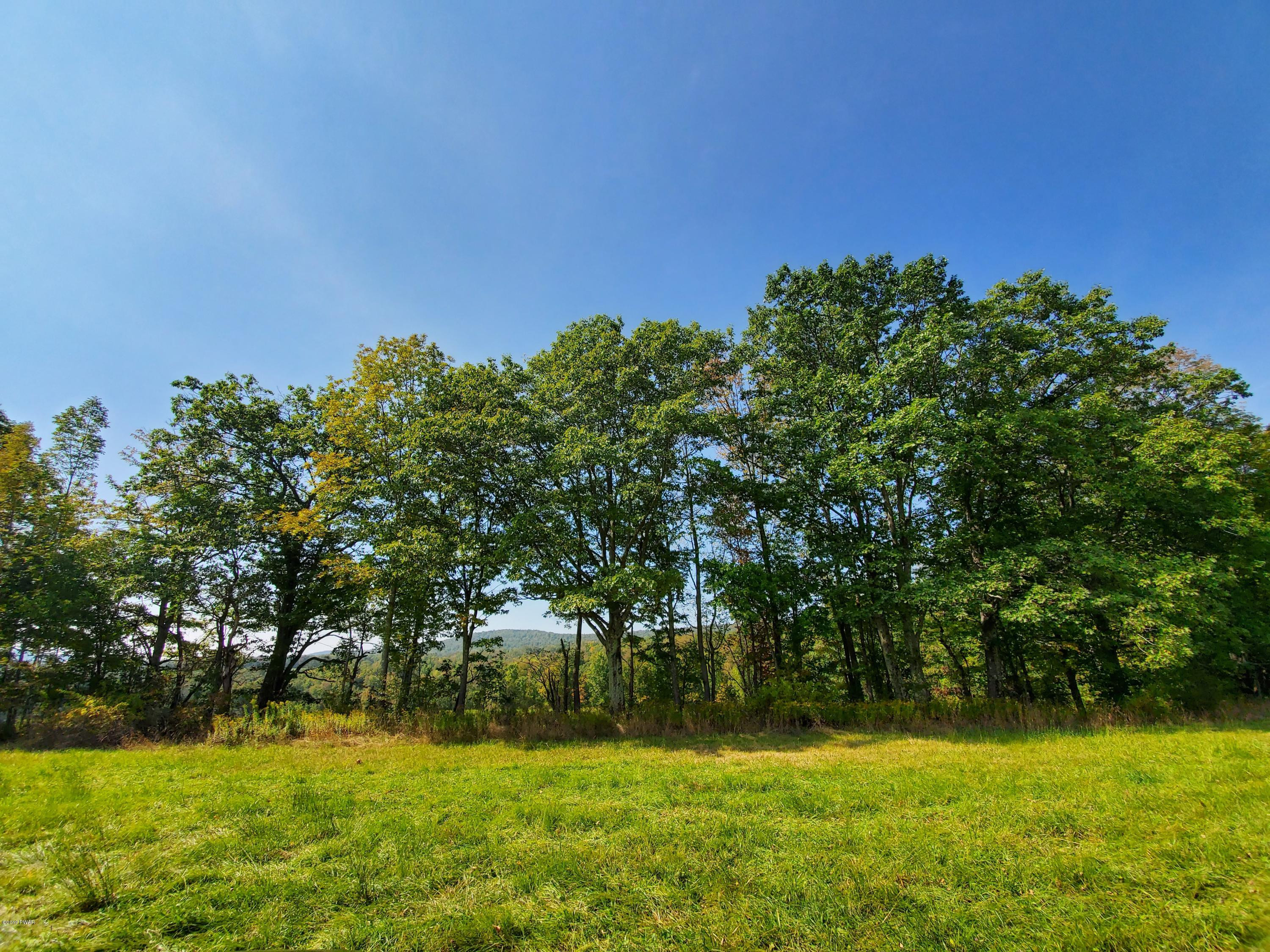 South Preston Road Lakewood, PA 18439 - Photo 4 of 16