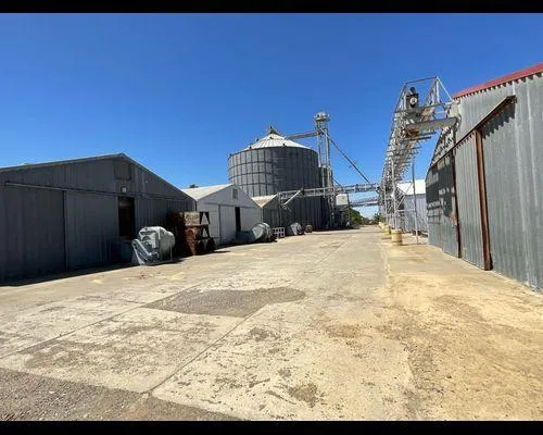 a view of a backyard of the house