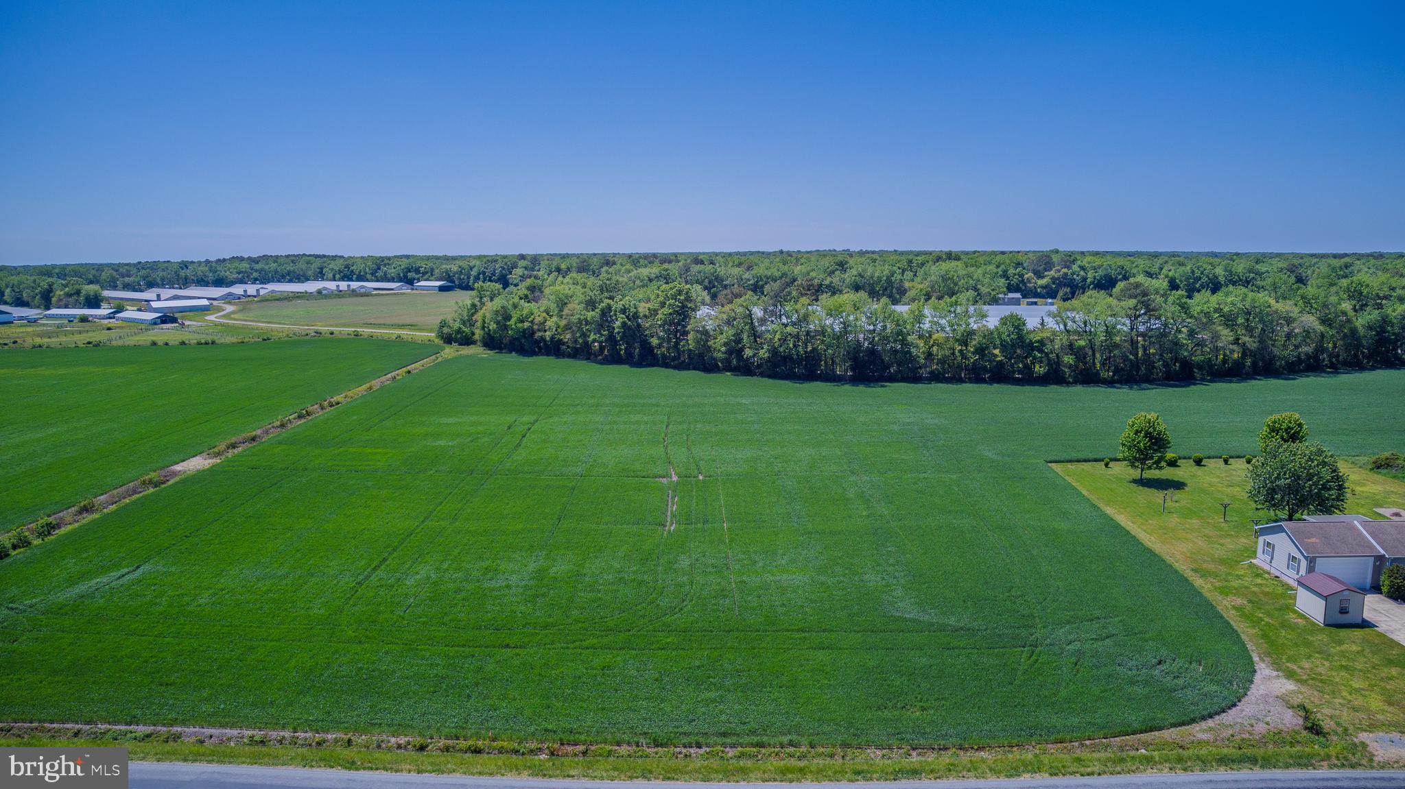 Lot #15 Tower Road Camden Wyoming, DE 19934 - Photo 12 of 15 a view of a grassy field