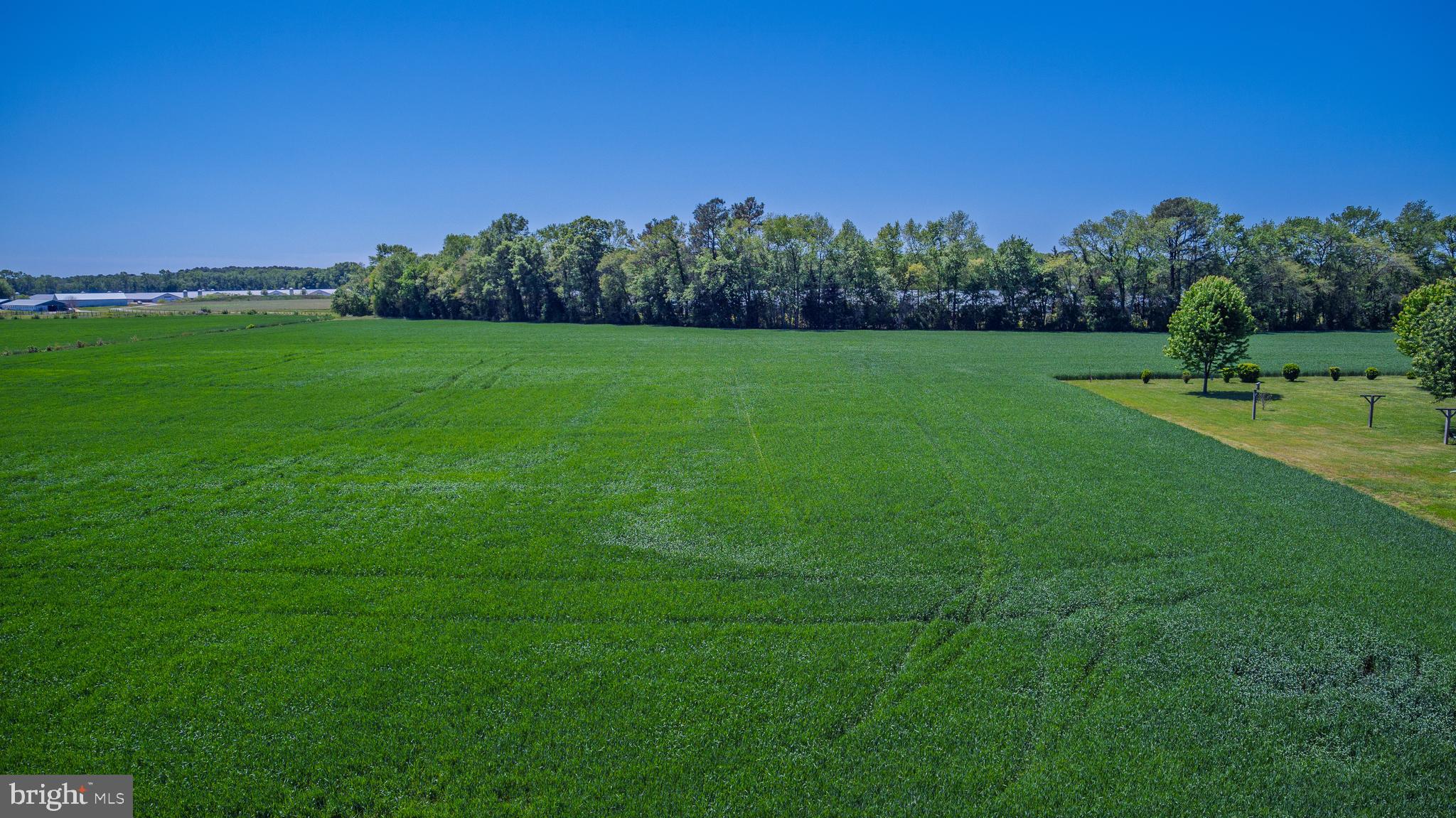 Lot #15 Tower Road Camden Wyoming, DE 19934 - Photo 14 of 15 a view of a grassy field with trees in the background