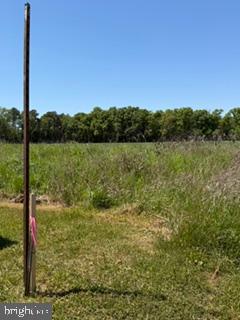 Lot #15 Tower Road Camden Wyoming, DE 19934 - Photo 8 of 15 a view of a lake with a yard