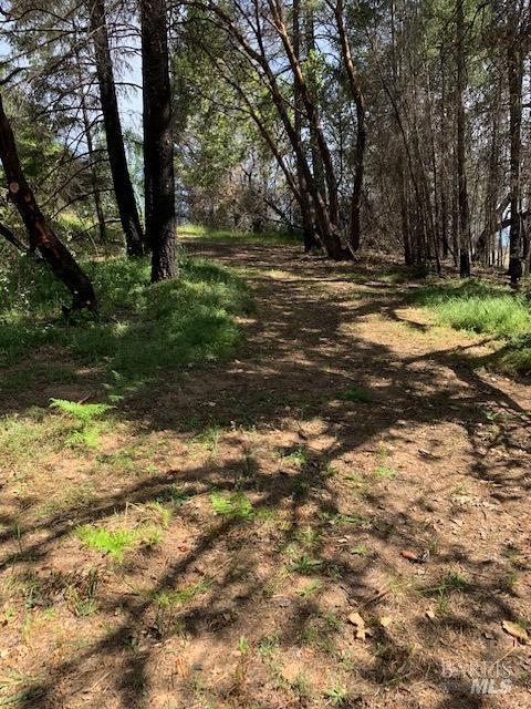2100 Big Ridge Road Healdsburg, CA 95448 - Photo 14 of 20 a view of outdoor space with trees