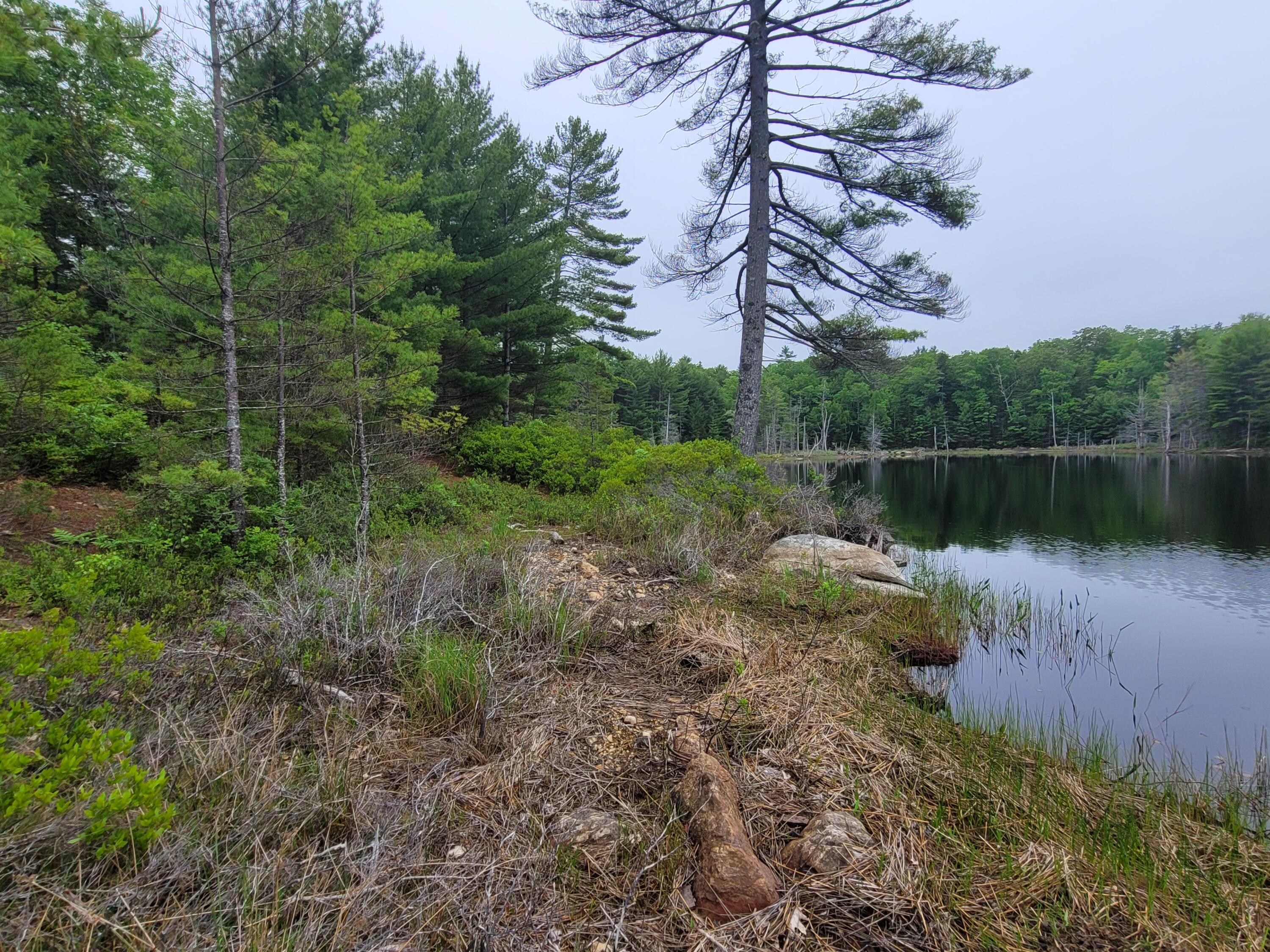 Tbd Grindleville Road Blue Hill, ME 04614 - Photo 4 of 52 Second Pond