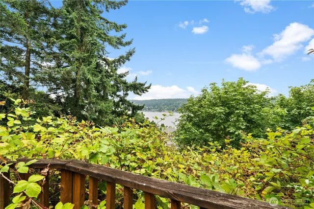 a view of a lake from a yard