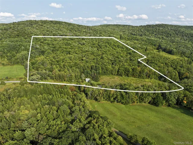 $185,000 | 1990 Finch Hollow Road, Walton, NY 13856