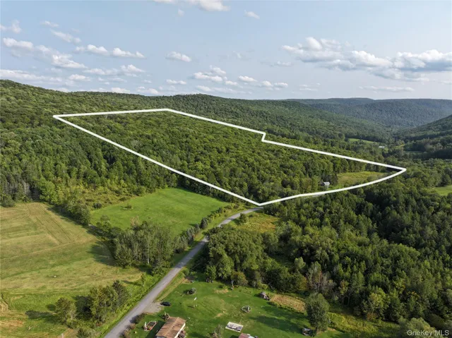 $185,000 | 1990 Finch Hollow Road, Walton, NY 13856