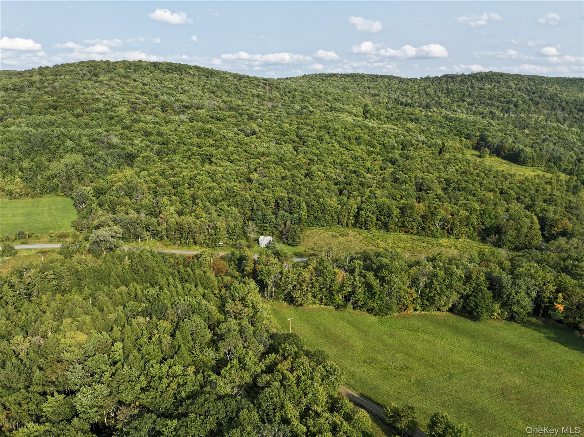 1990 Finch Hollow Road Walton, NY 13856 - Photo 4 of 10 Aerial view of property's location featuring a heavily wooded area