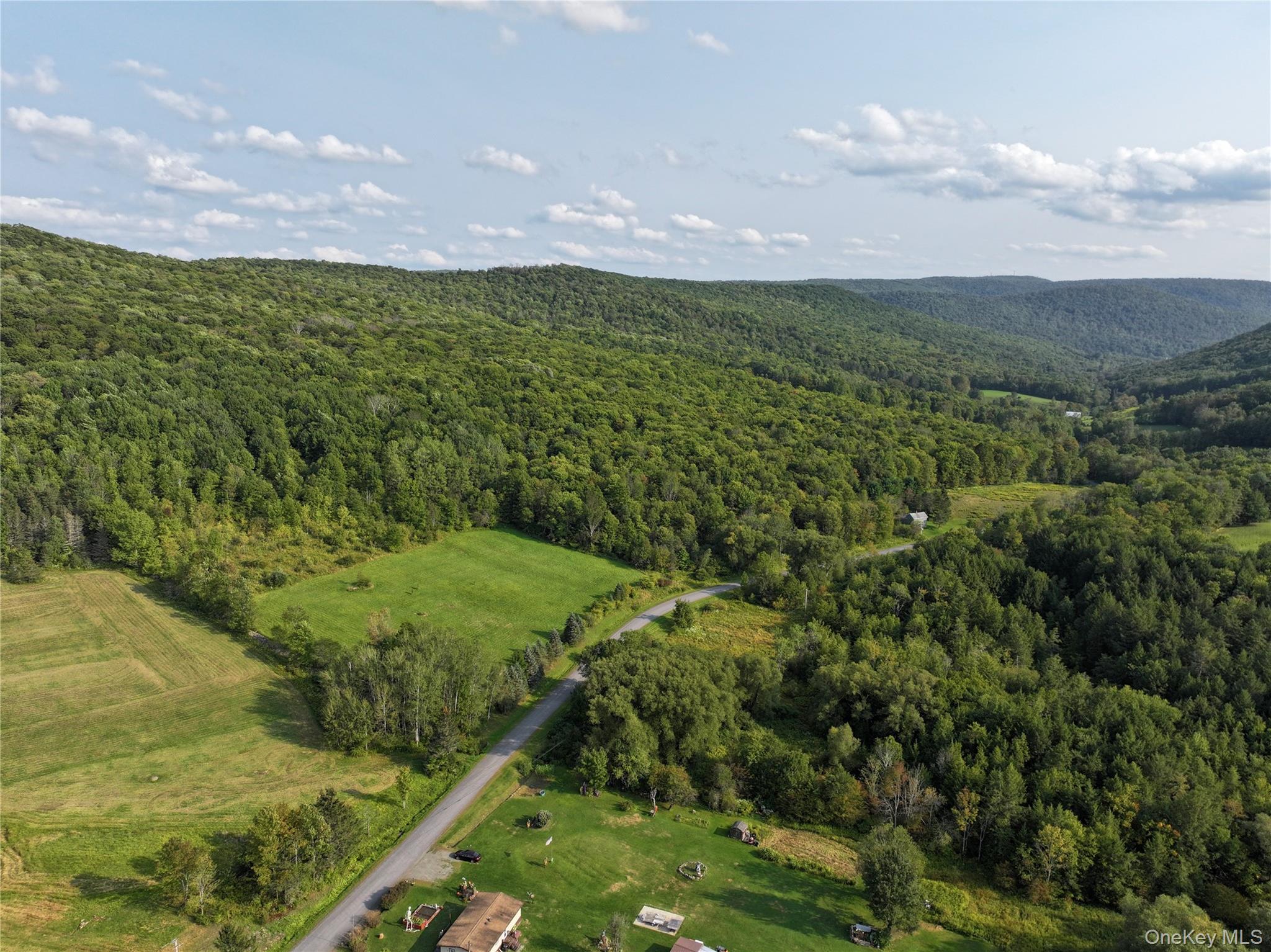1990 Finch Hollow Road Walton, NY 13856 - Photo 5 of 10 View of property location with a forest