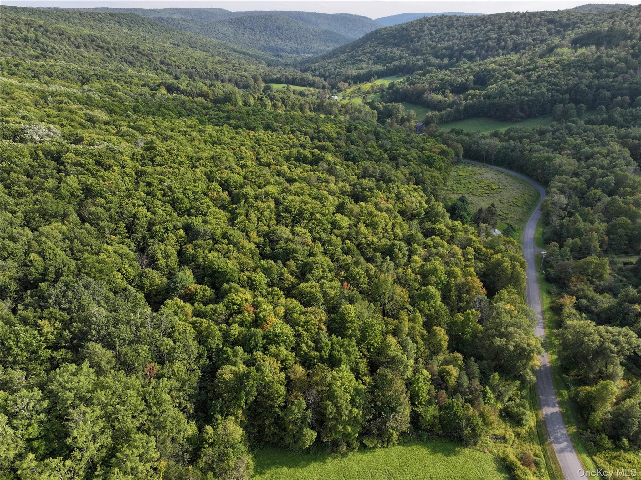 1990 Finch Hollow Road Walton, NY 13856 - Photo 6 of 10 Aerial view of property and surrounding area featuring mountains