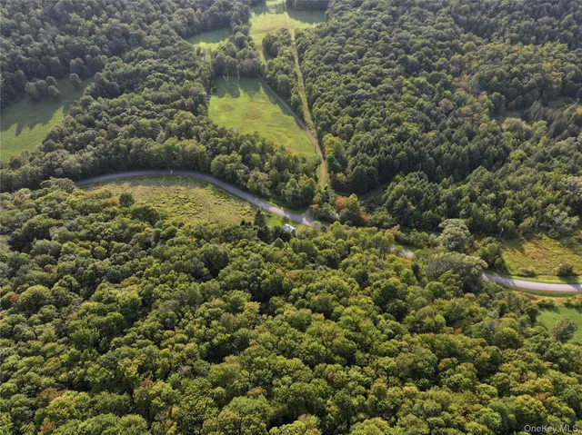 $185,000 | 1990 Finch Hollow Road, Walton, NY 13856