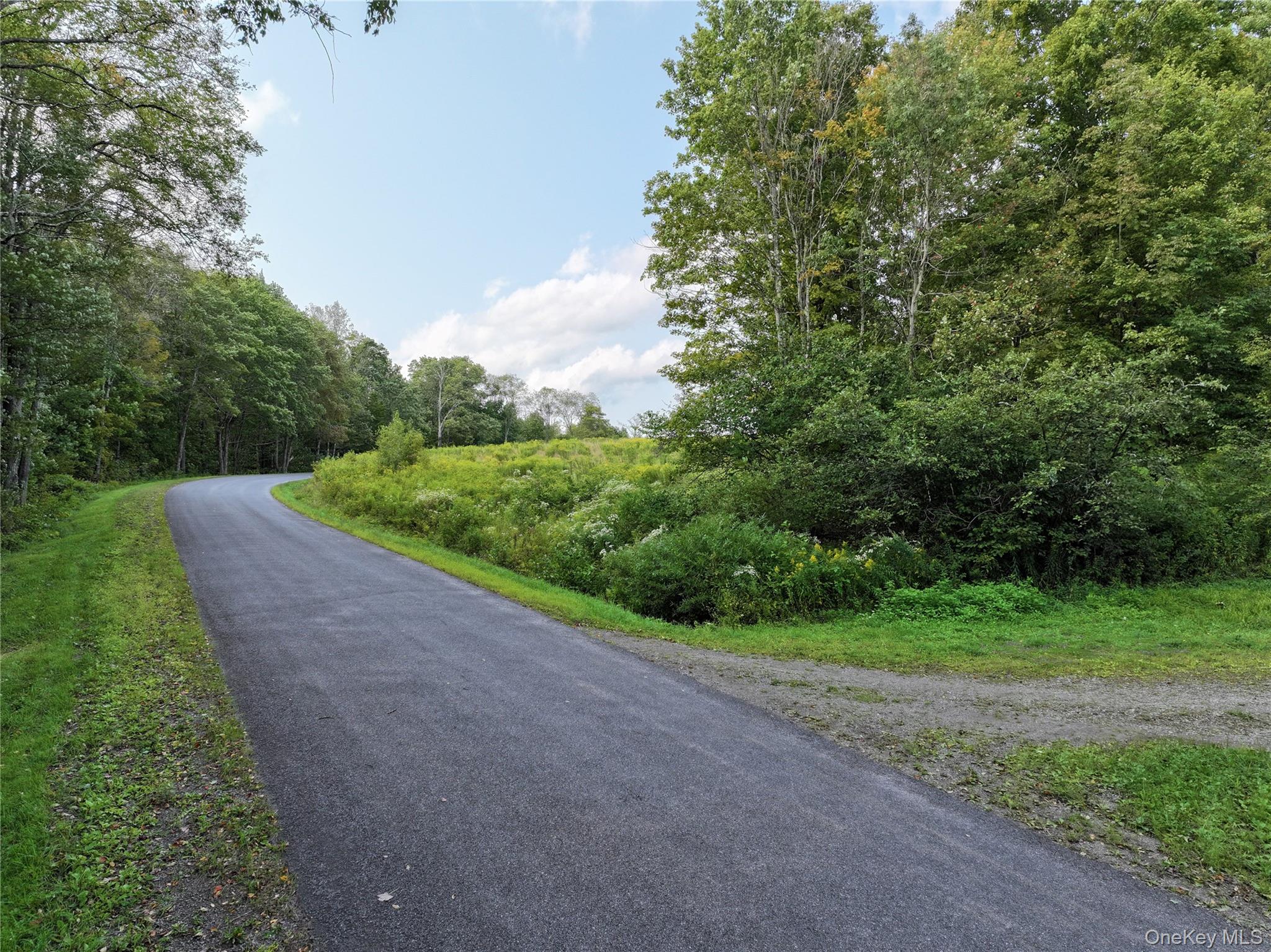 1990 Finch Hollow Road Walton, NY 13856 - Photo 8 of 10 View of asphalt road featuring a forest view