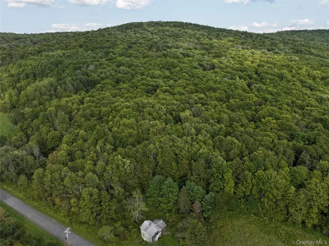 $185,000 | 1990 Finch Hollow Road, Walton, NY 13856