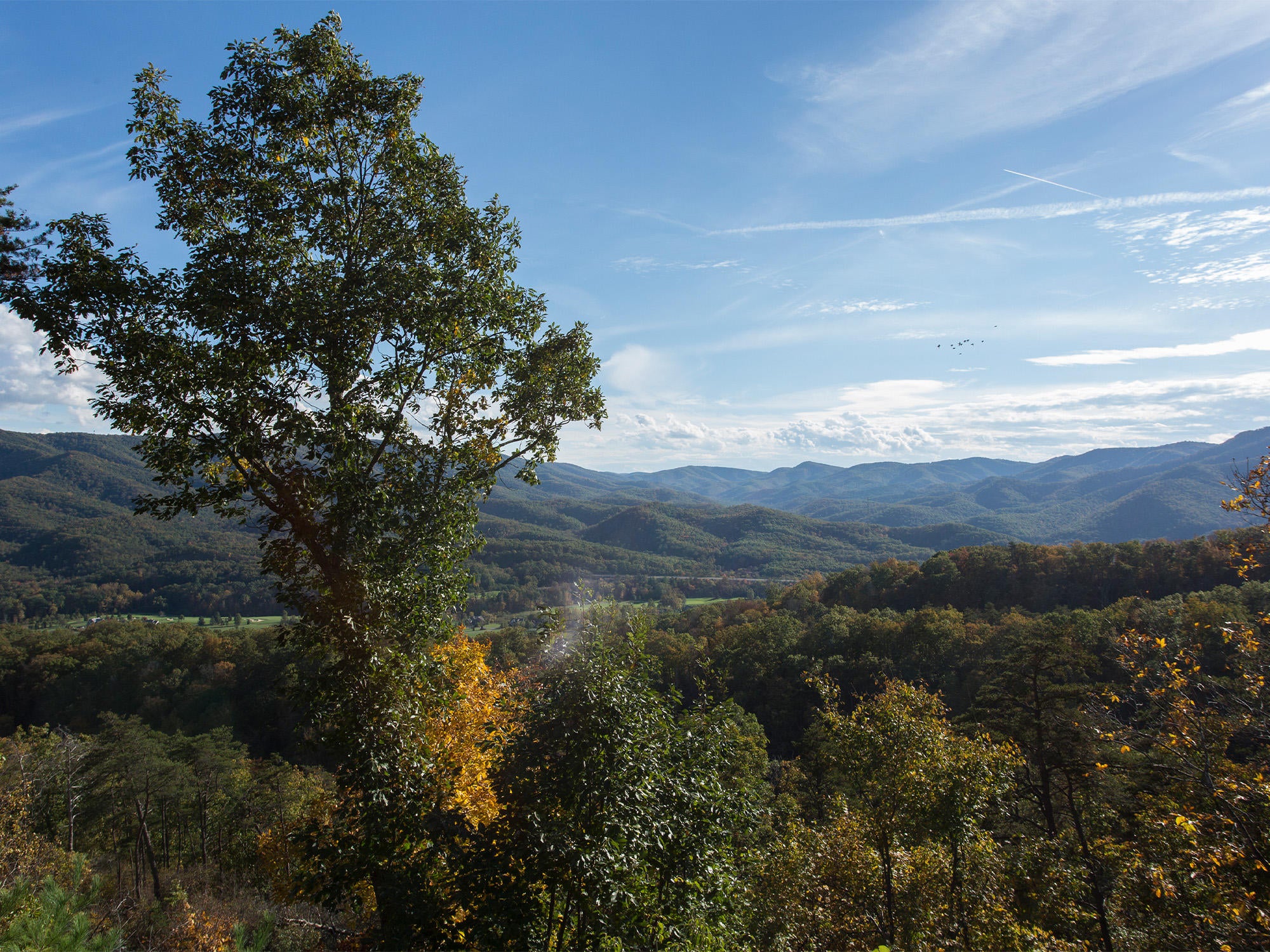 211 Harrison Ridge White Sulphur Springs, WV 24986 - Photo 19 of 32 Gallery Image 19
