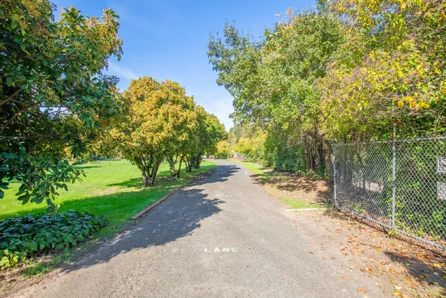 a view of road and trees