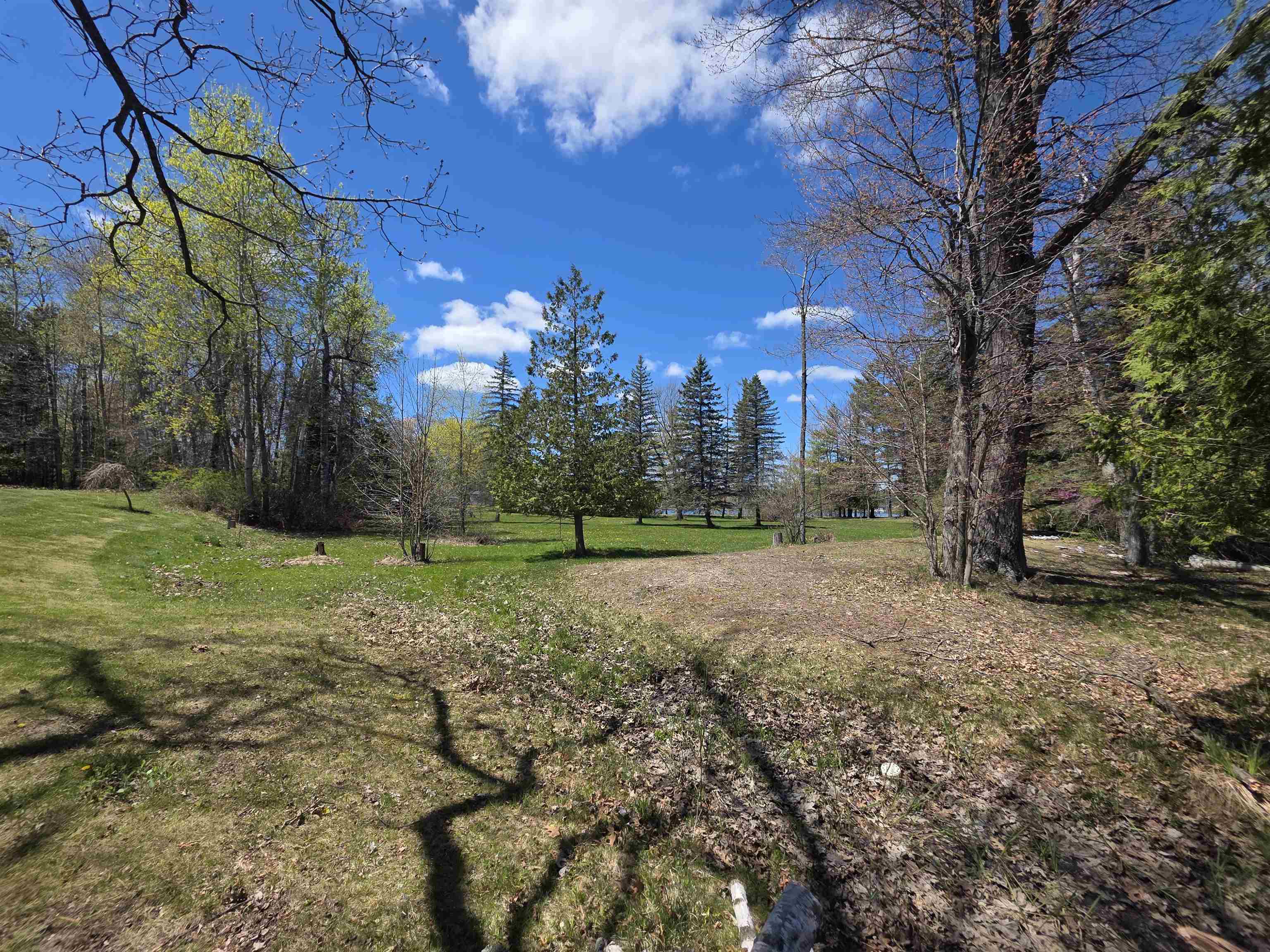 0 Bliss Road Hale, MI 48739 - Photo 4 of 14